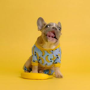 后来的我们，只活在听说里