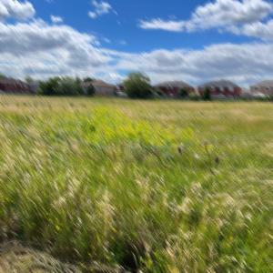 cheesed (feat. xfujioka)