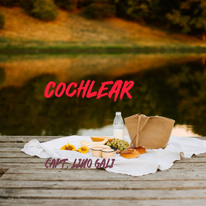 Cochlear