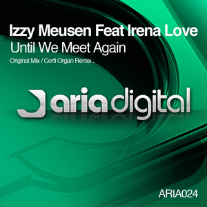 Until We Meet Again (Original Mix)