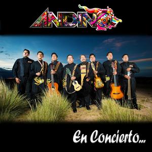 Se Feliz - Quillacollo - Tarde