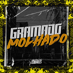 Gramado Molhado