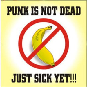 Skarrando (Tô na Moda, Eu Não Sou Besta!)