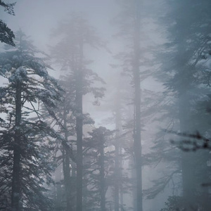 重塑-女低版（电视剧《永夜星河》OST）