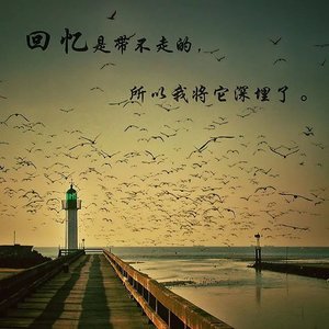 沙滩爱情