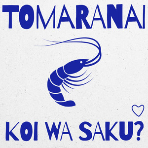 止まらない恋はサクッ？ (JAGA RECORDS mix)