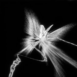 【free】"蝴蝶"SASI TYPE BEAT