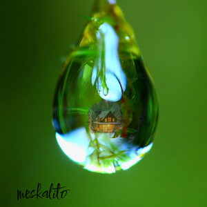 Тоска о Доме