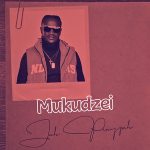 Mukudzei