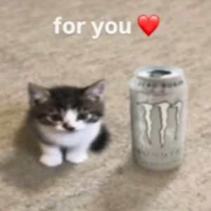 [FREE]"人鱼的眼泪"采样 网感流行旋律说唱 Type Beat