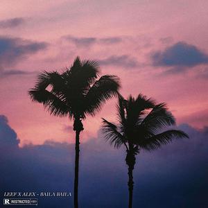 Baila Baila (feat. El alex)