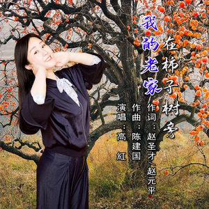 我的老家在柿子树旁