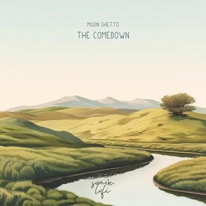 The Comedown