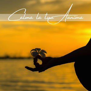 Nella luce del tramonto