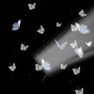 彩云之南DJ版（踩晕直男）