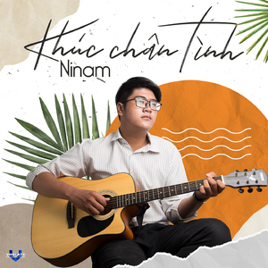 Khúc Chân Tình (Instrumental)