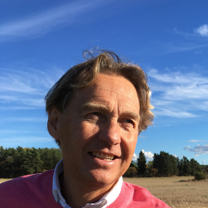 Sov min prins (Live)