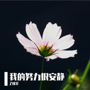 我的努力很安静