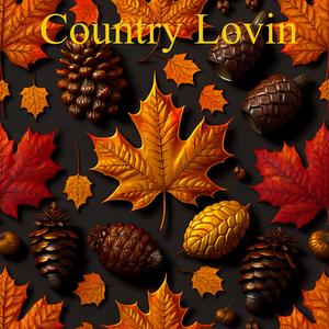 Oh I Thought I Had A Dollar Or Two To Spend