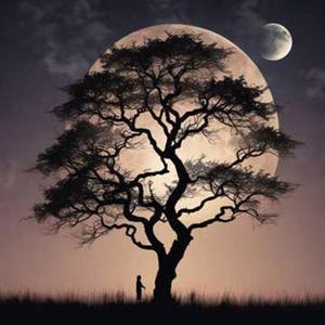 경계의 불안 속