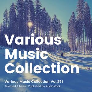 広域指定探偵団いろは組！