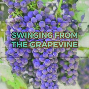 Swinging' From The Grapevine (feat. Tony Millions)