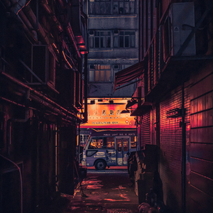 Stray Cat Blues