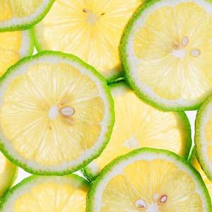 Lemon（笛子版）