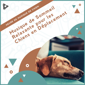 Ambiance paisible pour dormir