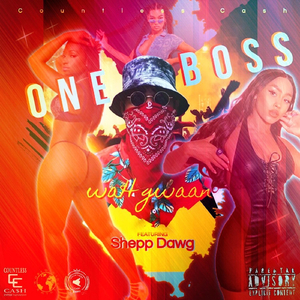 Wah Gwaan (feat. Shepp Dawg)