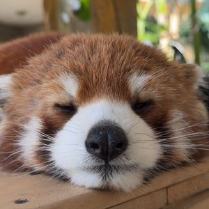试错