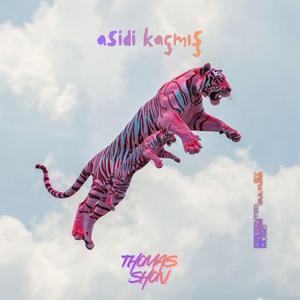 Asidi Kaçmış Fayn Edit