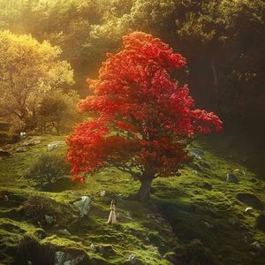 "落枫映.."-中国风伴奏-四口-CashTrippy-Gunna Type Beat