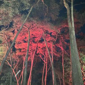 Solace (feat. Fullblak)