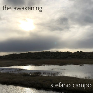 The Awakaning