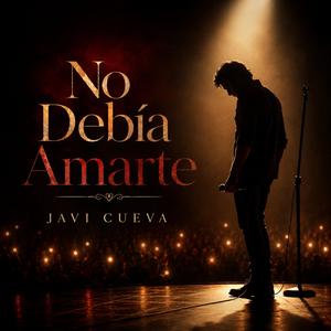 No Debía Amarte