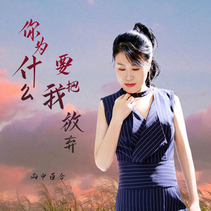 你为什么要把我放弃