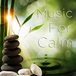 Healing Reiki Melody