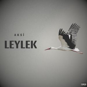 LEYLEK
