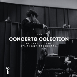 Ziguenerweisen, Op. 20 (Live)