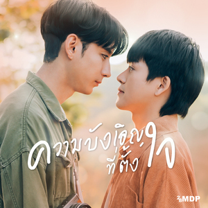 ความบังเอิญ ที่ตั้งใจ (The Love Of Winter)