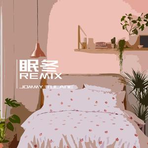 满舒克-眠冬（Jommy Tulane remix）