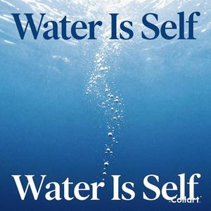 물은 셀프 트로트버전