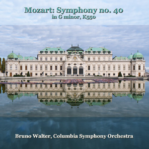 Symphony No.40 in G Minor, K550:I. Allegro Molto