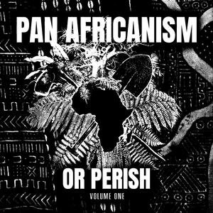 NTC (Nkrumah, Toure, Cabral) (feat. Joy in Resistance)