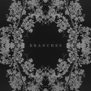 Branches