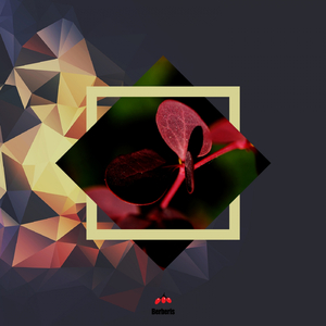 Artful Dodger (Original Mix)