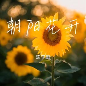 朝阳花开