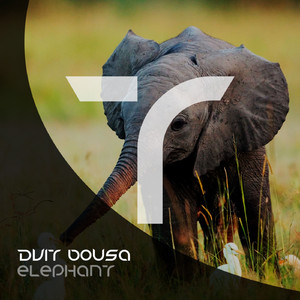 Elephant (Original Mix)