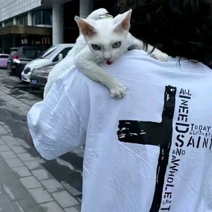 怕黑别玩互联网